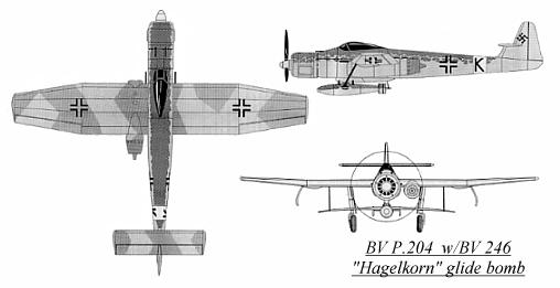 BV P.204  3 view