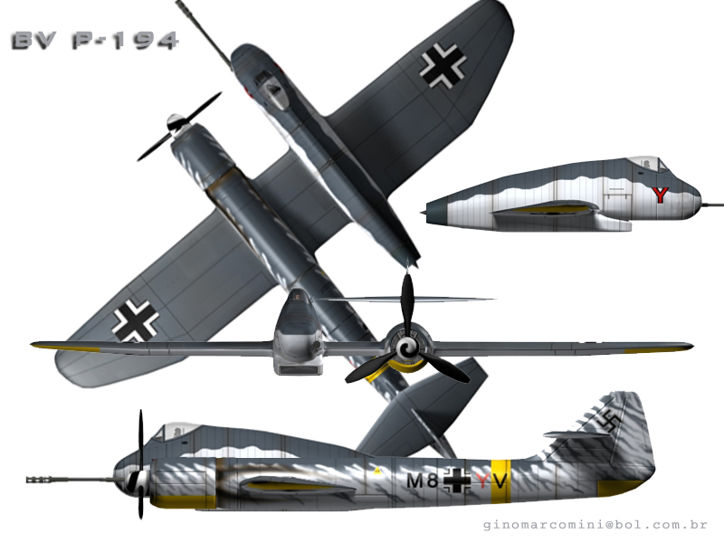 Voss BV P.194 images.